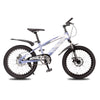 RAPID 20