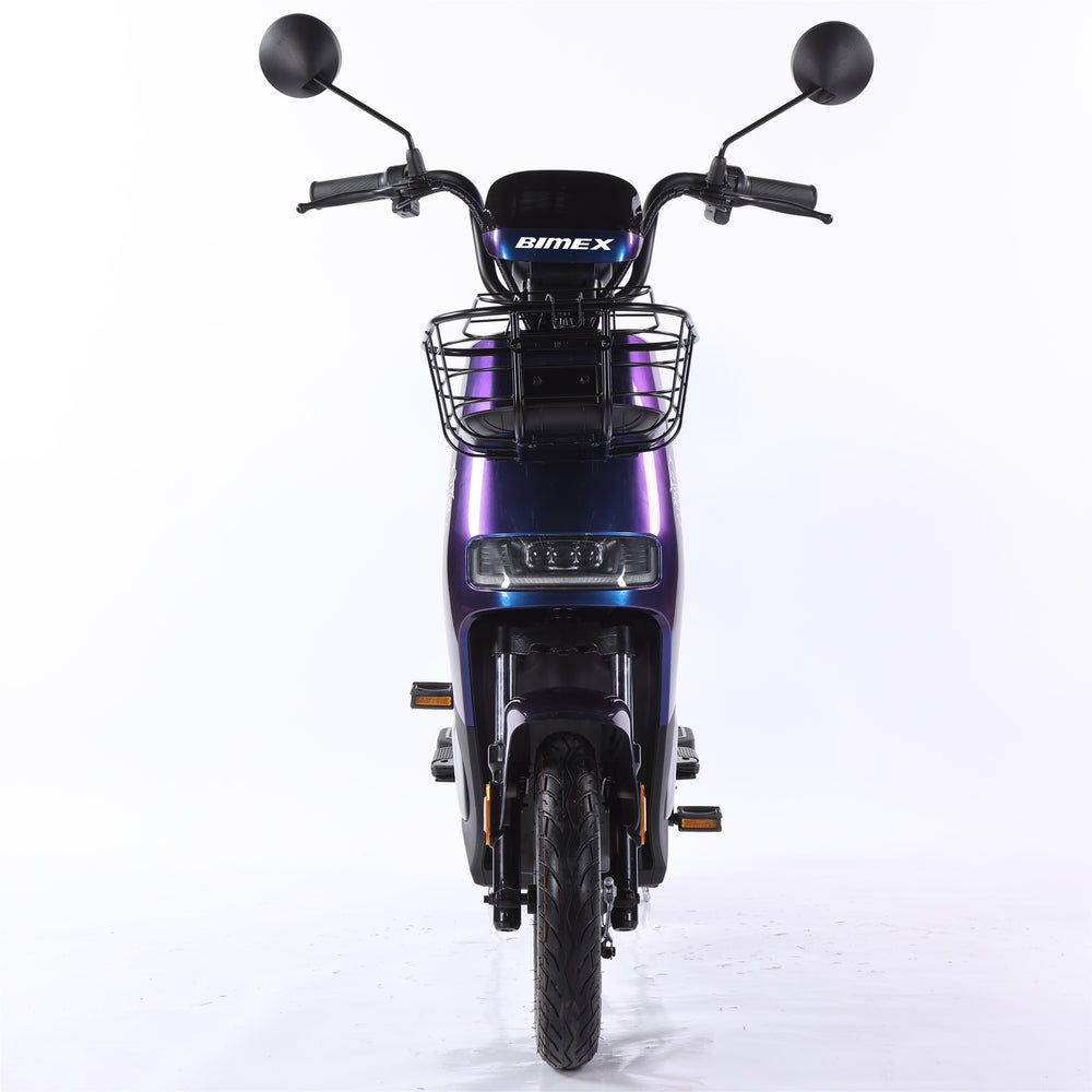 E14 LOBO 009