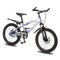 RAPID 20